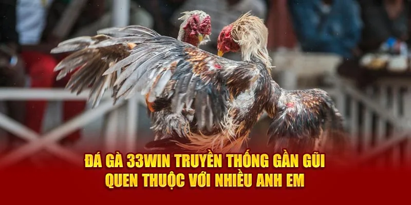 Đá gà 33Win truyền thống gần gũi quen thuộc với nhiều anh em