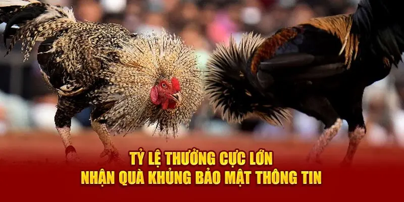 Tỷ lệ thưởng cực lớn - Nhận quà khủng bảo mật thông tin