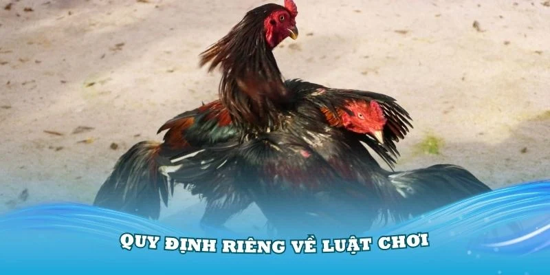 Đá gà cựa dao có quy định riêng về luật chơi